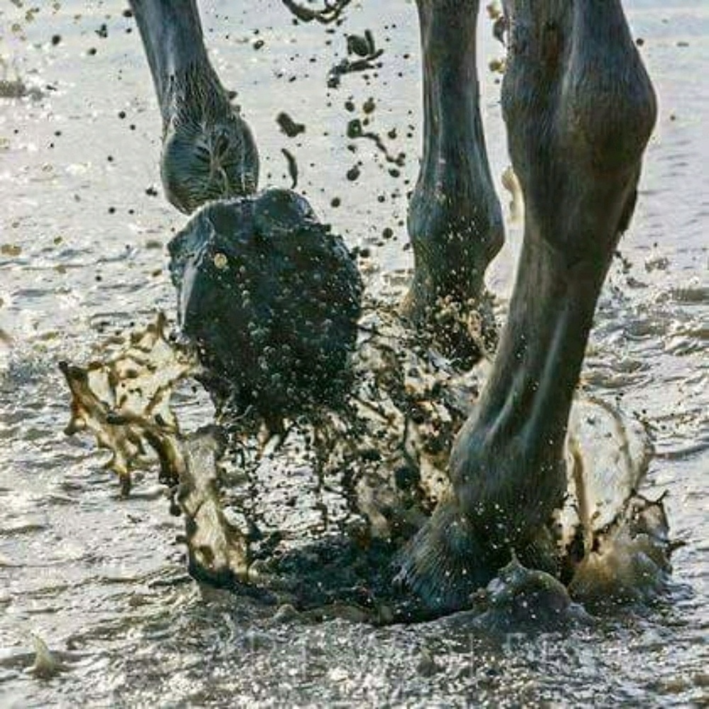 Meet your Posher, ChErYl